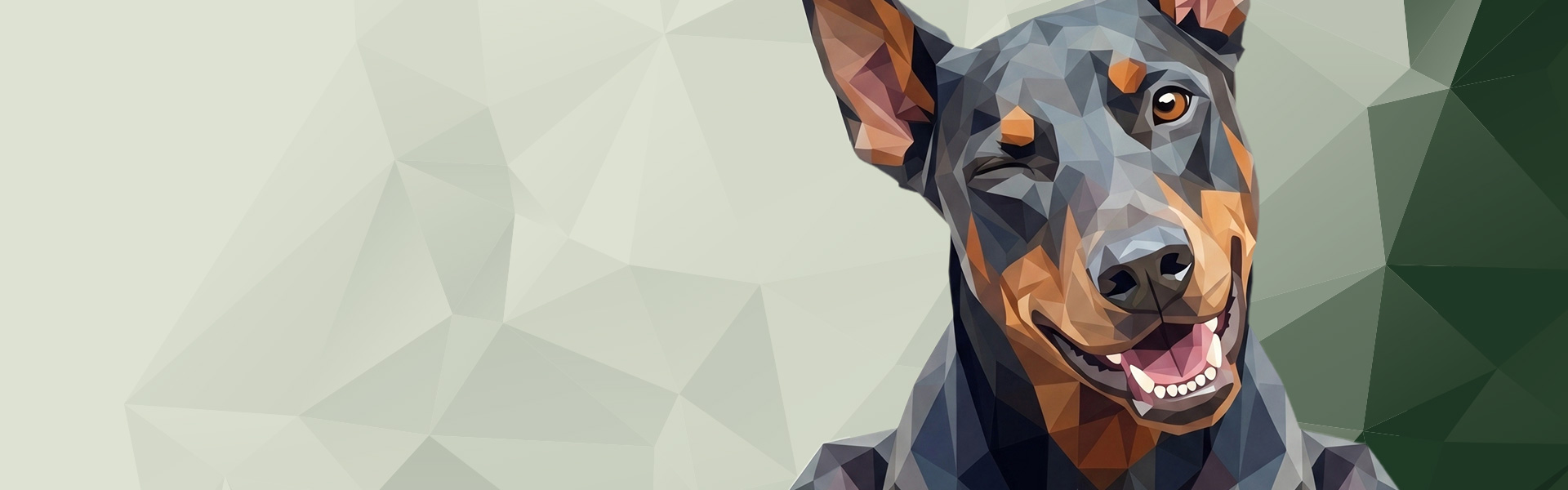 stief_header_jobs_2025_1_JM_1920x600px