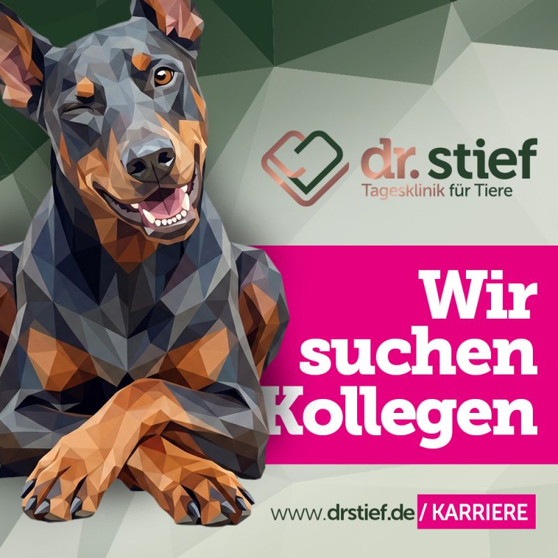 stief_post_jobs_2025_1_JM_1000x1000px
