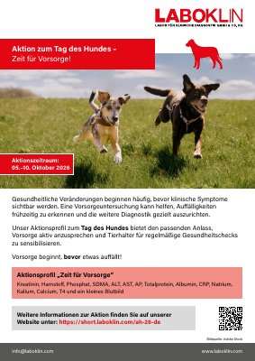 Labokin Infoblatt
