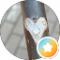 Marlene Drescher Avatar