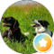 LinayJay Avatar
